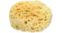 ZOO MED SEA SPONGE EA