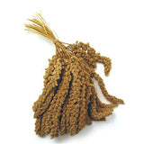 MILLET SPRAY 100G MASTERPET