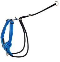 ROGZ DOG HARNESS STOP PULL [SIZE:XLARGE COLOUR:BLUE]