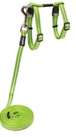ROGZ CAT HARNESS & LEAD SET ALLEYCAT [SIZE:SMALL COLOUR:LIME]