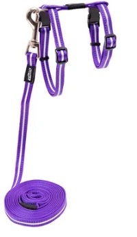 ROGZ CAT HARNESS & LEAD SET ALLEYCAT [SIZE:SMALL COLOUR:PURPLE]