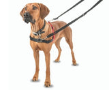 COMPANY OF ANIMALS HALTI HARNESS FRONT CONTROL BLACK/RED [SIZE:SMALL]