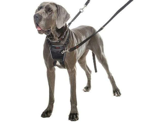 COMPANY OF ANIMALS HALTI  NO PULL HARNESS BLACK LARGE 