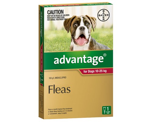 ADVANTAGE FOR DOGS 10-25KG [PACK SIZE:SINGLE DOSE]