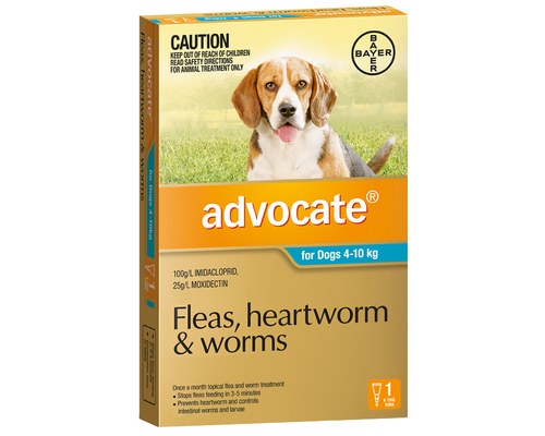 ADVOCATE FOR DOGS 4-10KG – Head to Tail Pets