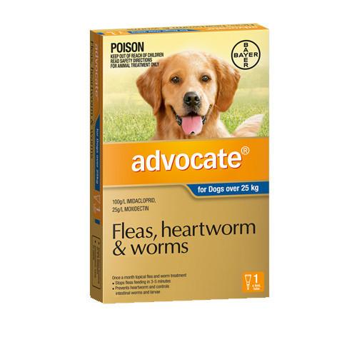 ADVOCATE FOR DOGS OVER 25KG [PACK SIZE:SINGLE DOSE]