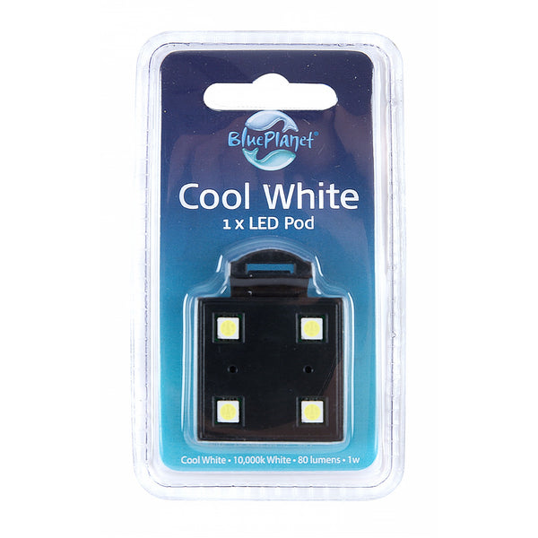 BLUE PLANET LED TRACK LIGHT POD COOL WHITE 