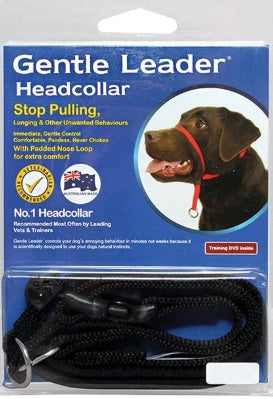GENTLE LEADER HEADCOLLAR BLACK [SIZE:SMALL]