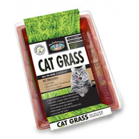 MR FOTHERGILLS CAT GRASS KIT