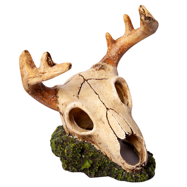 AQUA ONE ORNAMENT DEER SKULL