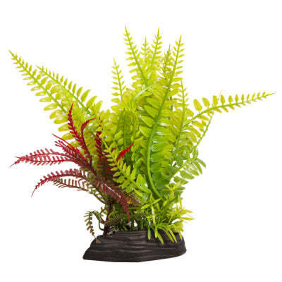 AQUA ONE ECOSCAPE MEDIUM LIQUORICE FERN/FERN GREEN