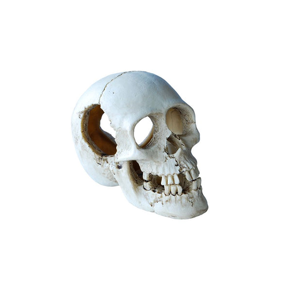 AQUA CARE ORNAMENT SKULL 13CM