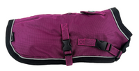 HUSKIMO COAT SUMMIT PRO [SIZE:33CM COLOUR:AURORA]