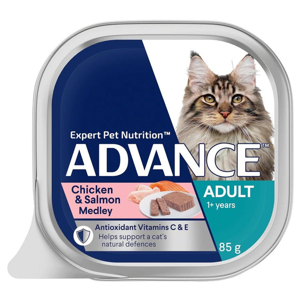 ADVANCE CAT WET SINGLE TRAY ADULT CHICKEN & SALMON 85G 