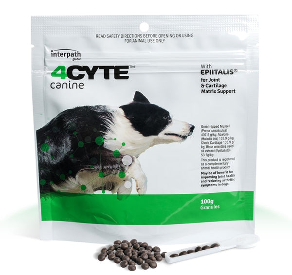 4CYTE CANINE ORAL JOINT SUPPLEMENT [WEIGHT:100GRAMS]