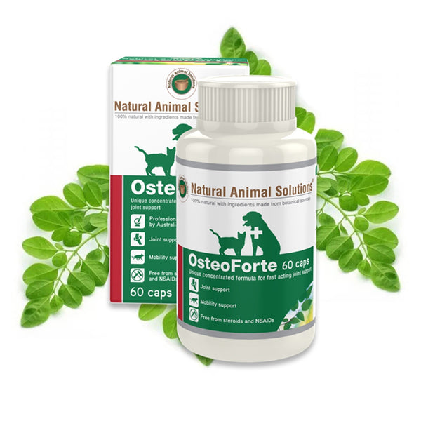 NATURAL ANIMAL SOLUTIONS OSTEO FORTE 60 CAPSULES