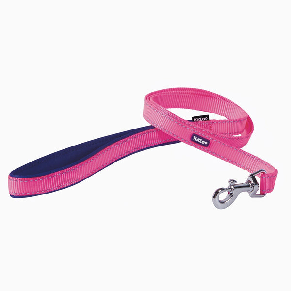 KAZOO DOG LEAD NYLON ACTIVE BLOOM/BURST [WIDTH:15MM LENGTH:120CM]