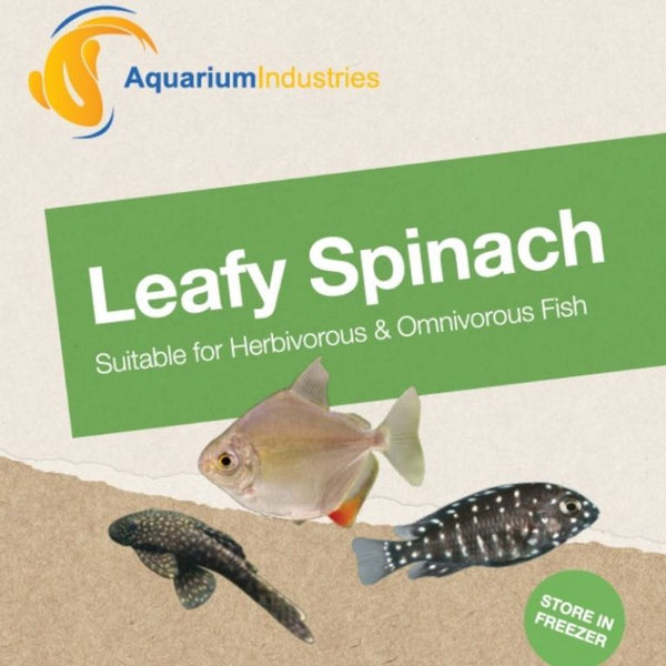 AI FROZEN FISH FOOD LEAFY SPINACH 100G 
