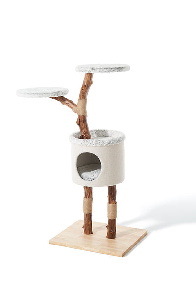 BONO FIDO CAT SCRATCHER GREENHILL