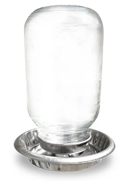  BAINBRIDGE POULTRY DRINKER STAINLESS STEEL MASON TOP 1 LITRE